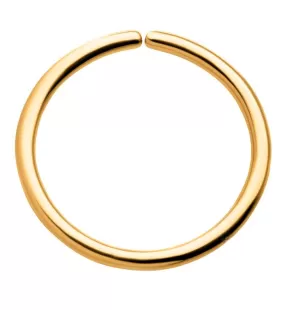 24kt Gold PVD Titanium Annealed Seamless Hoop Ring