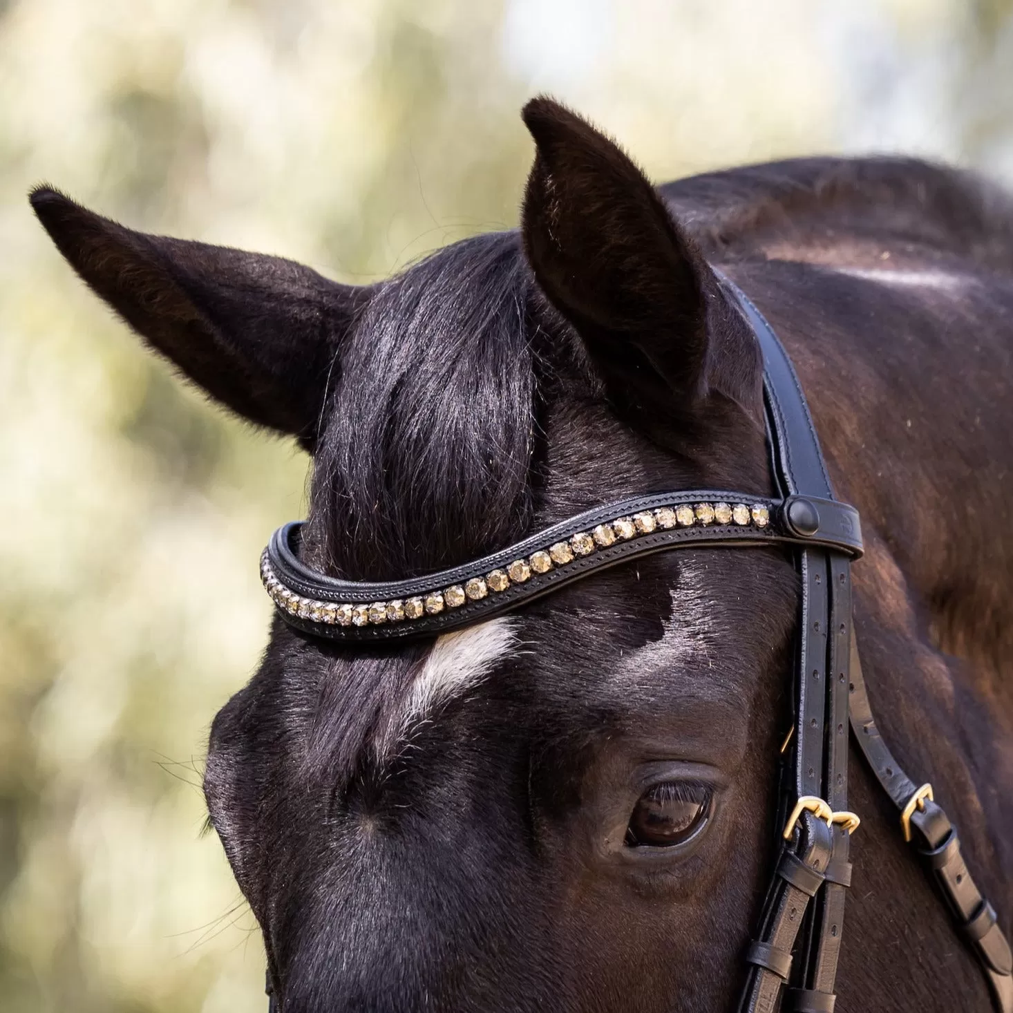 Birmingham - Non-Patent Black Leather Double Bridle