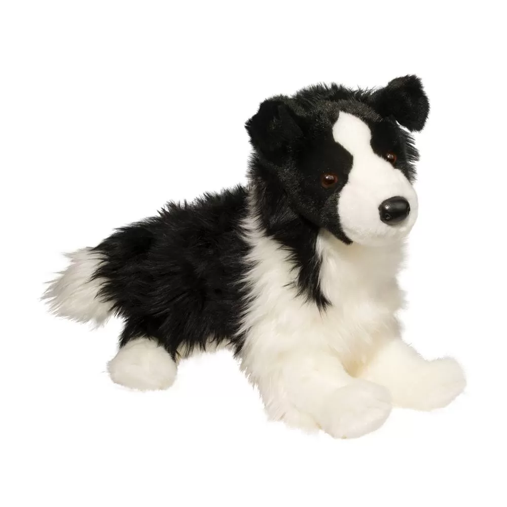 Chase Border Collie