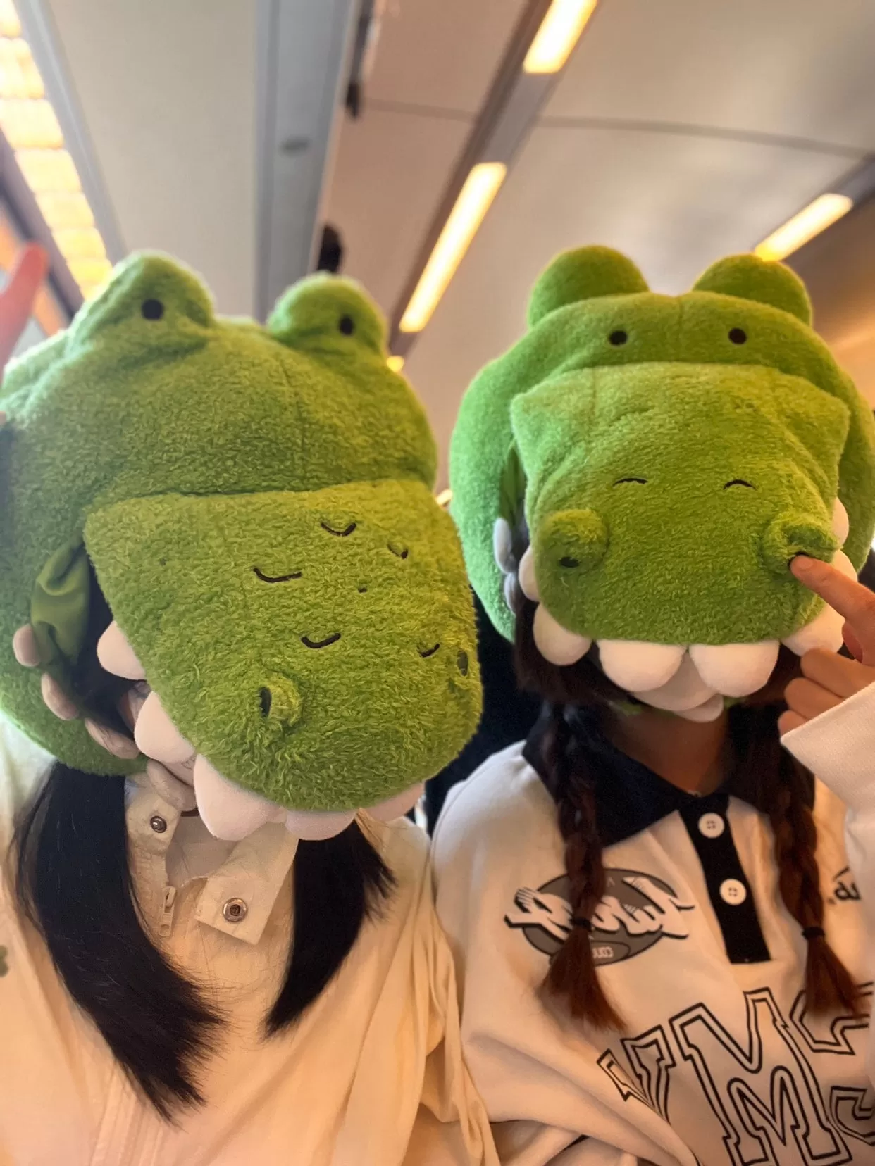 Crocodile Hat