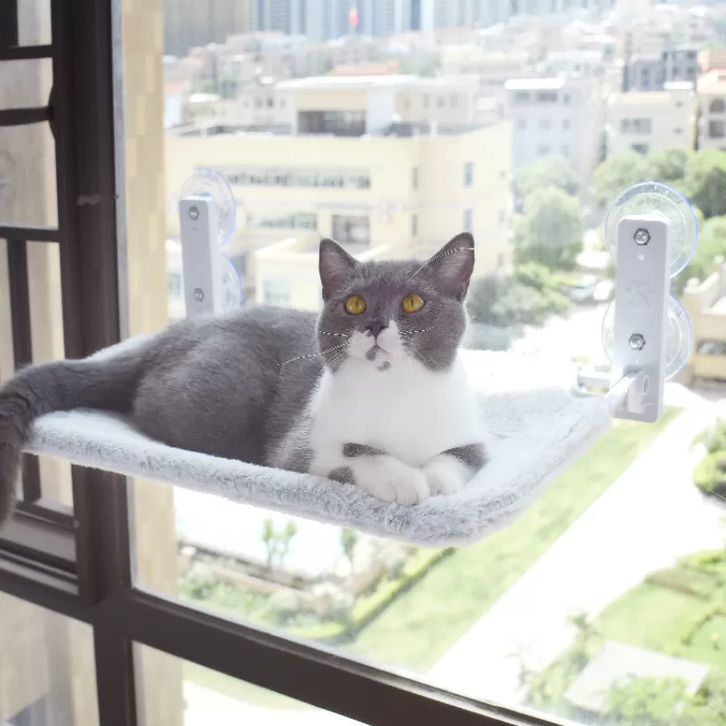 Cute Cat Window Bed Hammock ON702