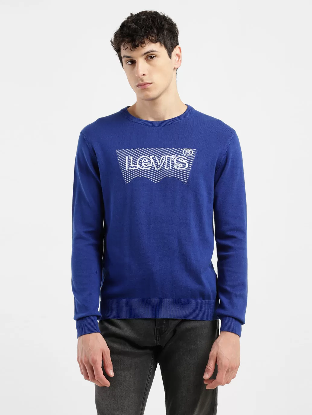 Men's Brand Logo Blue Crew Neck Sweater