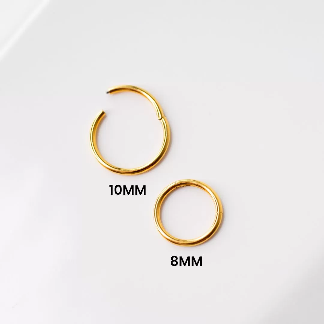 Mya Titanium Hinged Segment Ring - Hoop For Noses, Ears   More