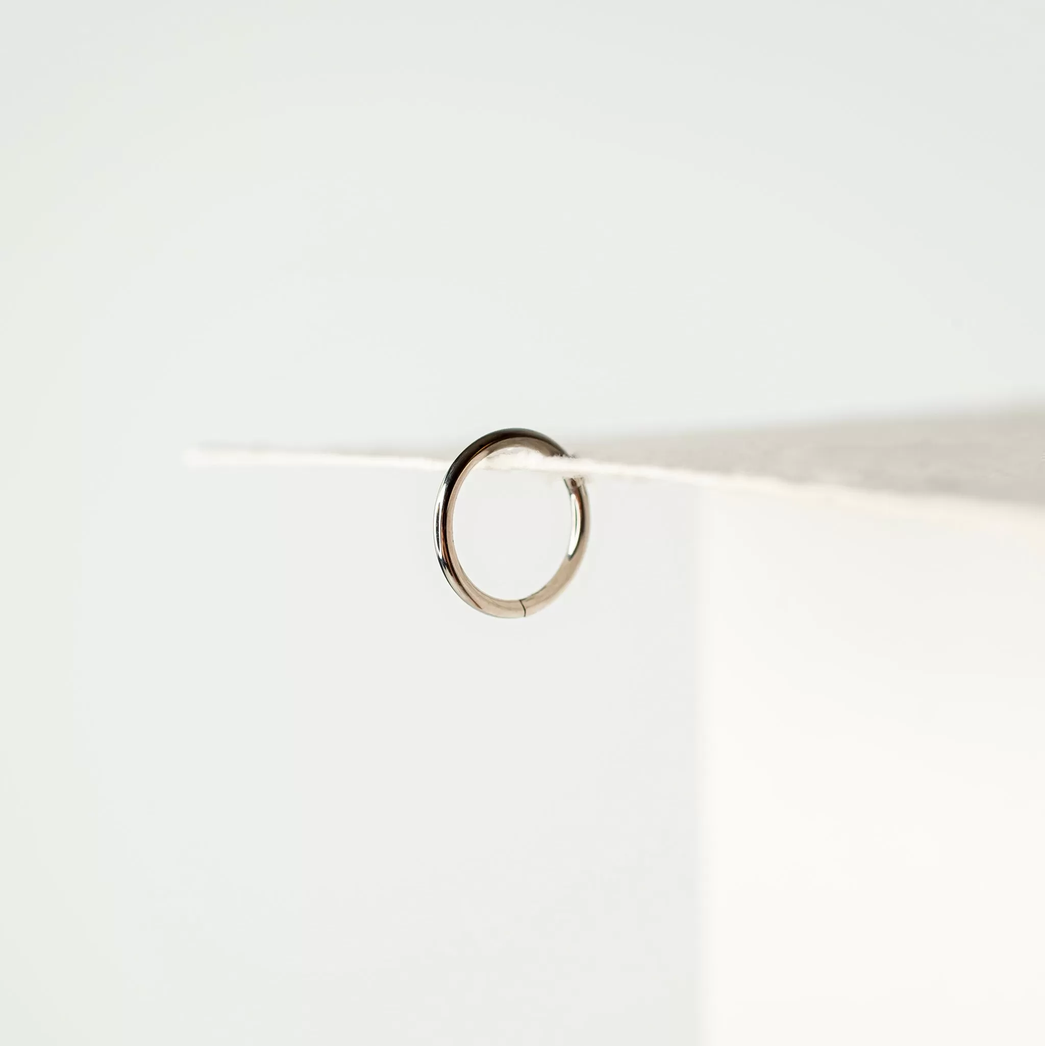 Mya Titanium Hinged Segment Ring - Hoop For Noses, Ears   More