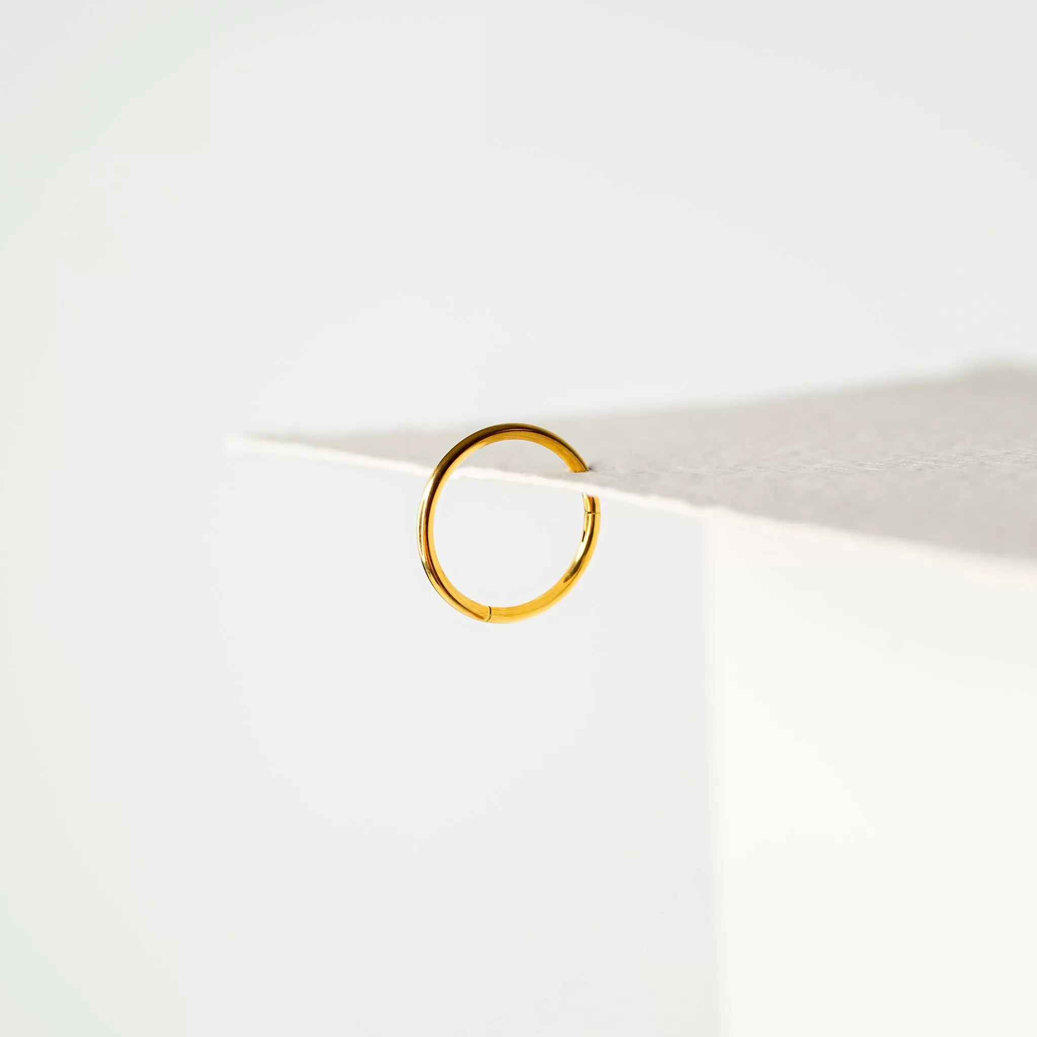 Mya Titanium Hinged Segment Ring - Hoop For Noses, Ears   More