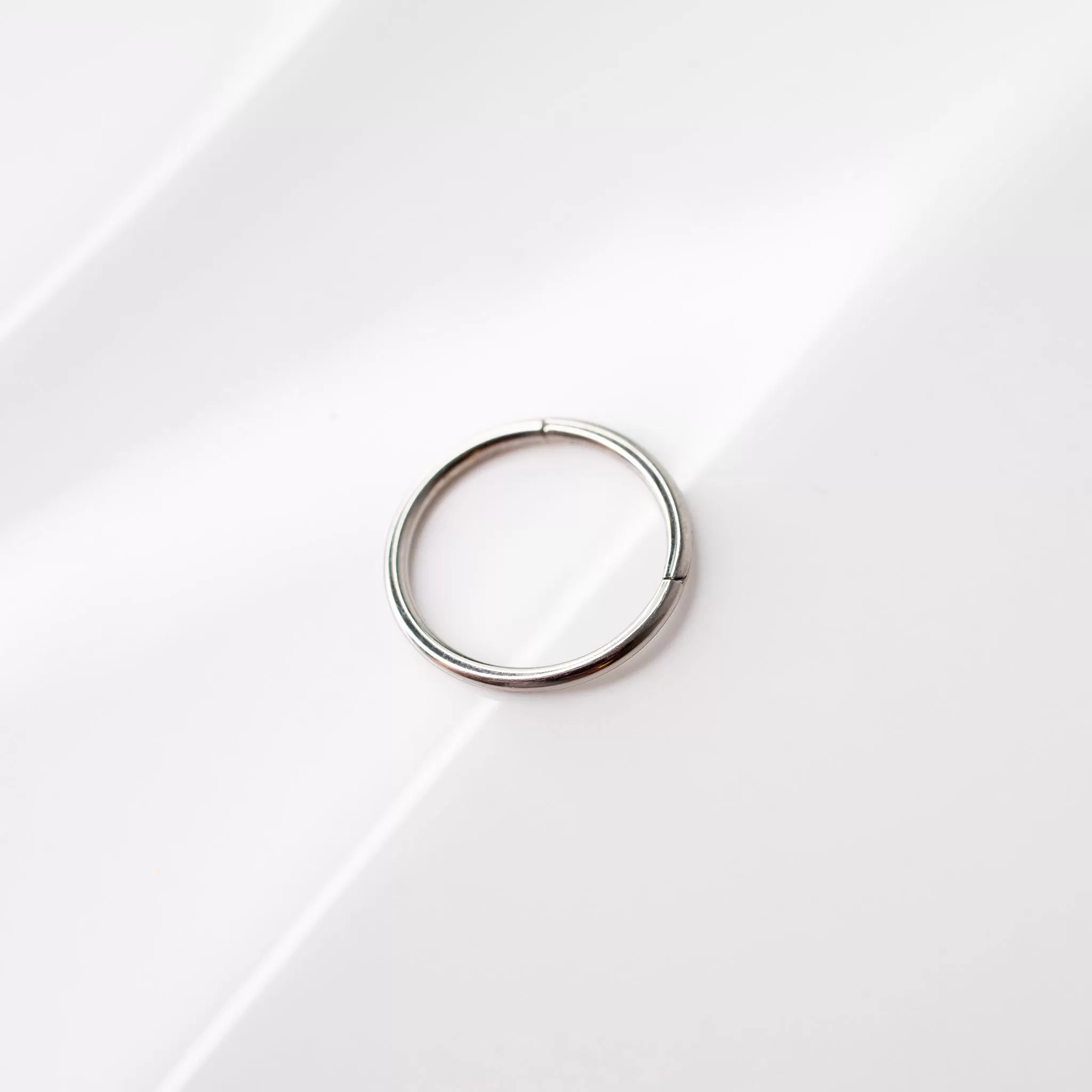 Mya Titanium Hinged Segment Ring - Hoop For Noses, Ears   More