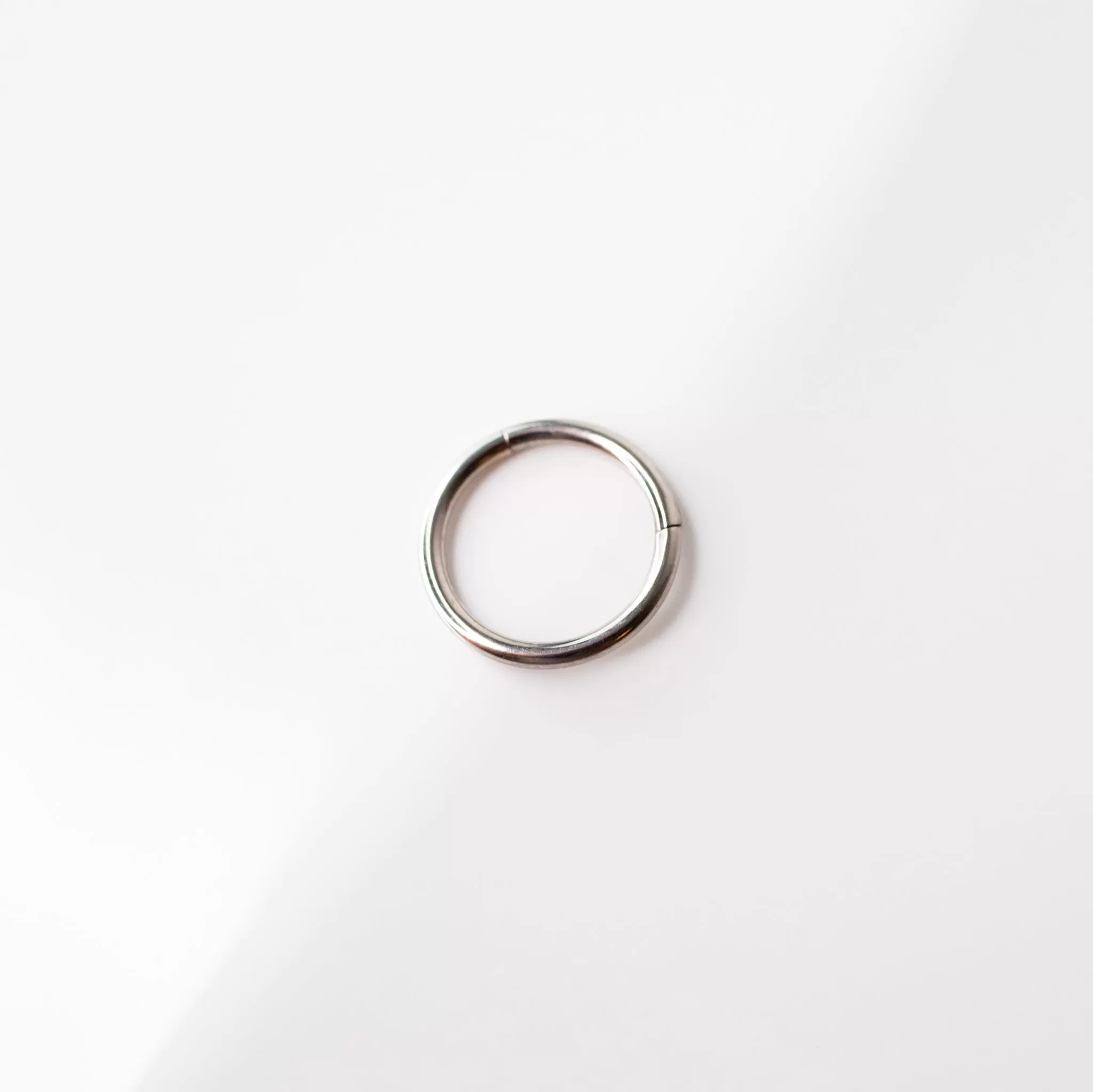 Mya Titanium Hinged Segment Ring - Hoop For Noses, Ears   More