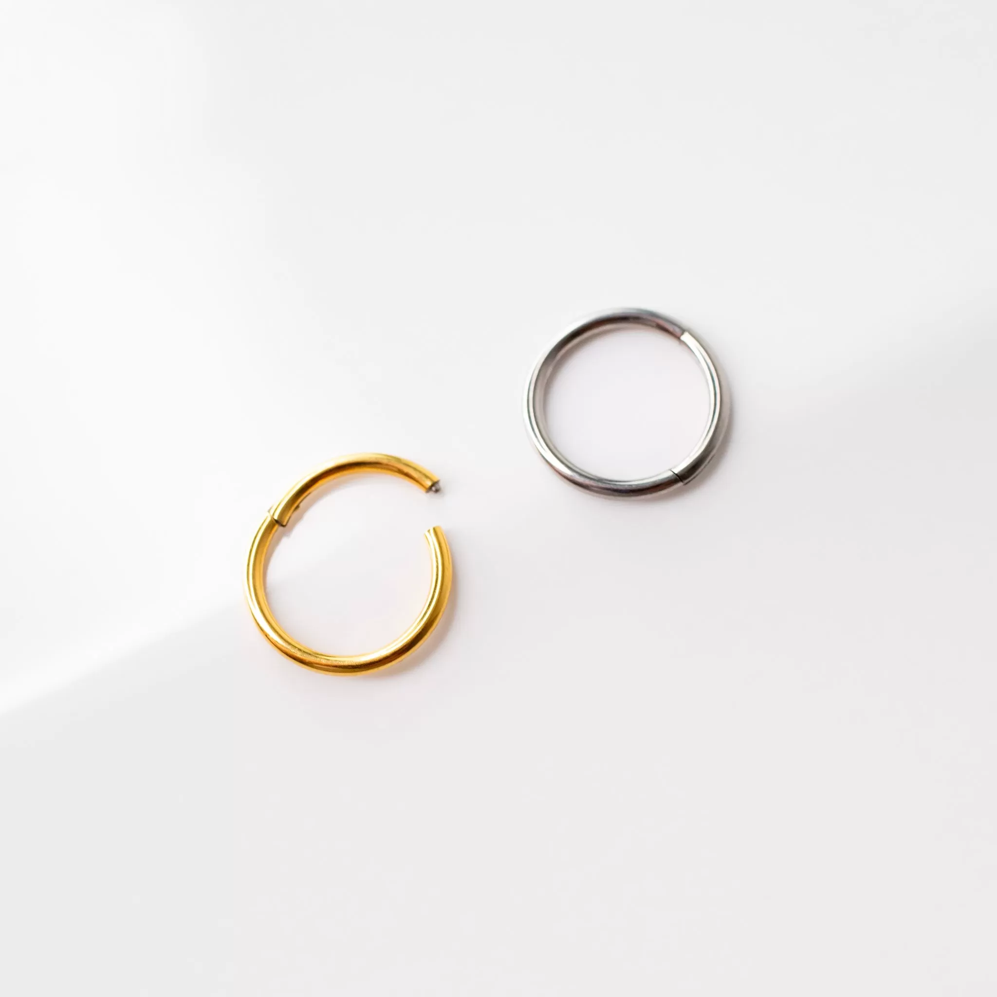 Mya Titanium Hinged Segment Ring - Hoop For Noses, Ears   More