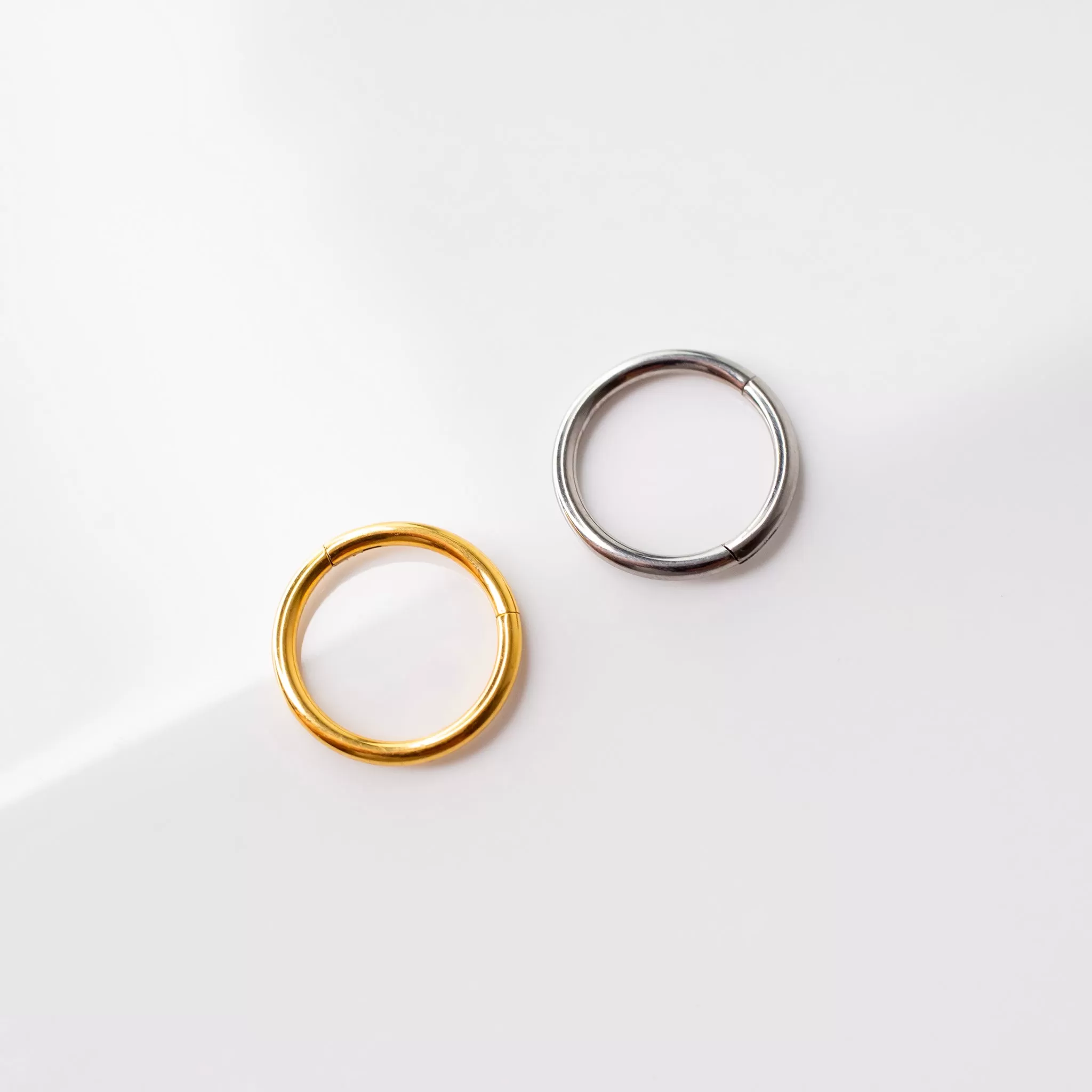 Mya Titanium Hinged Segment Ring - Hoop For Noses, Ears   More