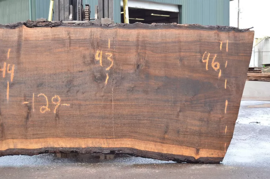 Oregon Black Walnut Slab 052522-03