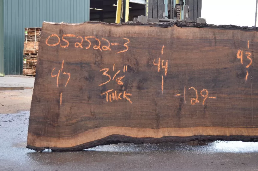 Oregon Black Walnut Slab 052522-03