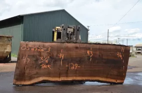 Oregon Black Walnut Slab 052522-03