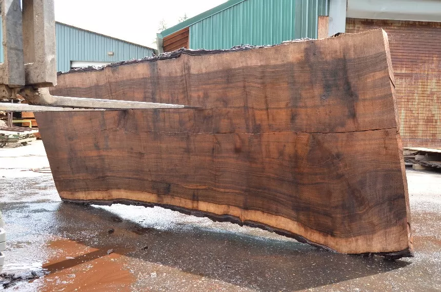 Oregon Black Walnut Slab 052522-03